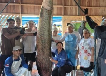 Em Maraã, pescadores realizam primeira pesca de pirarucu manejado