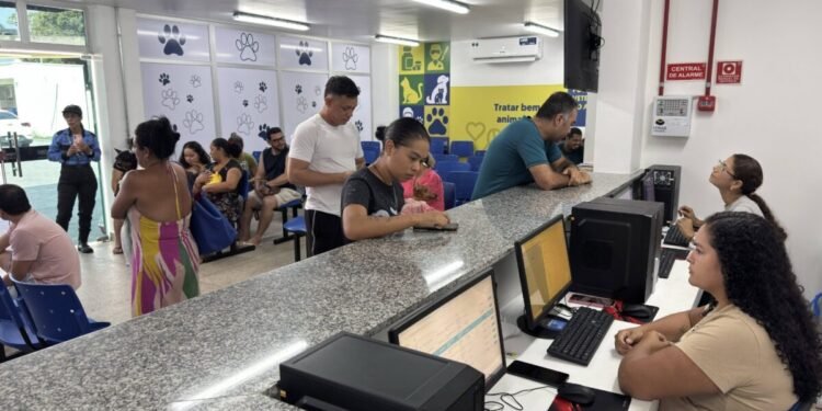HOSPITAL Público Veterinário do Amazonas ultrapassa 127 mil procedimentos em três meses de funcionamento